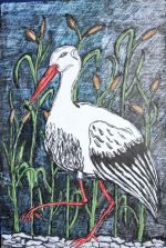 Konôpková Kristína.jpg